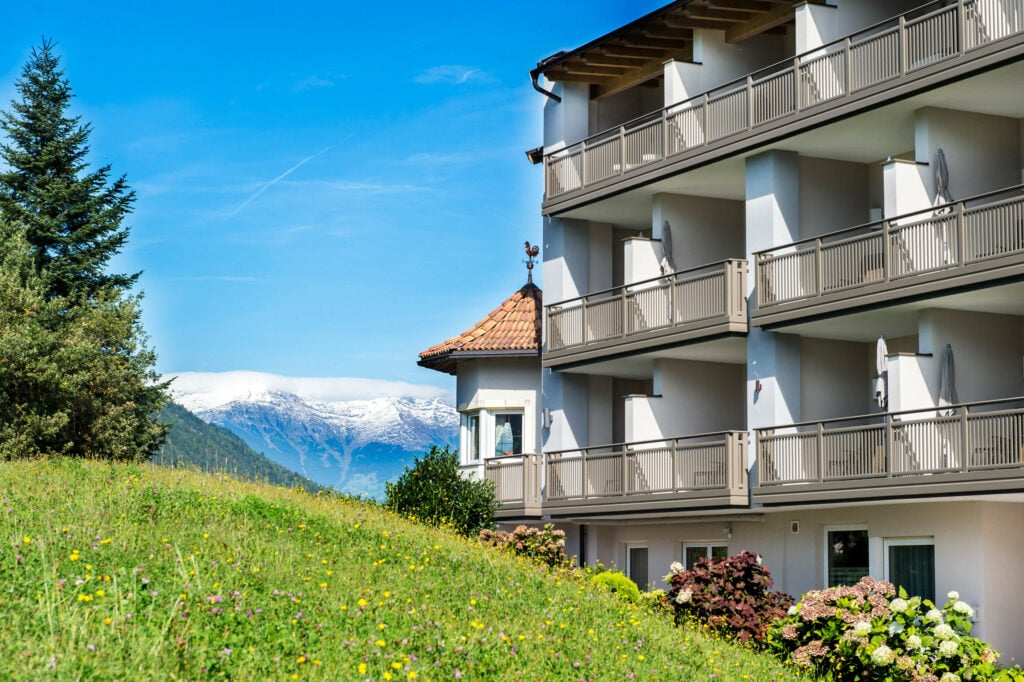 Blumenwiese mit Blick in die Berge mit Leeb Alubalkon