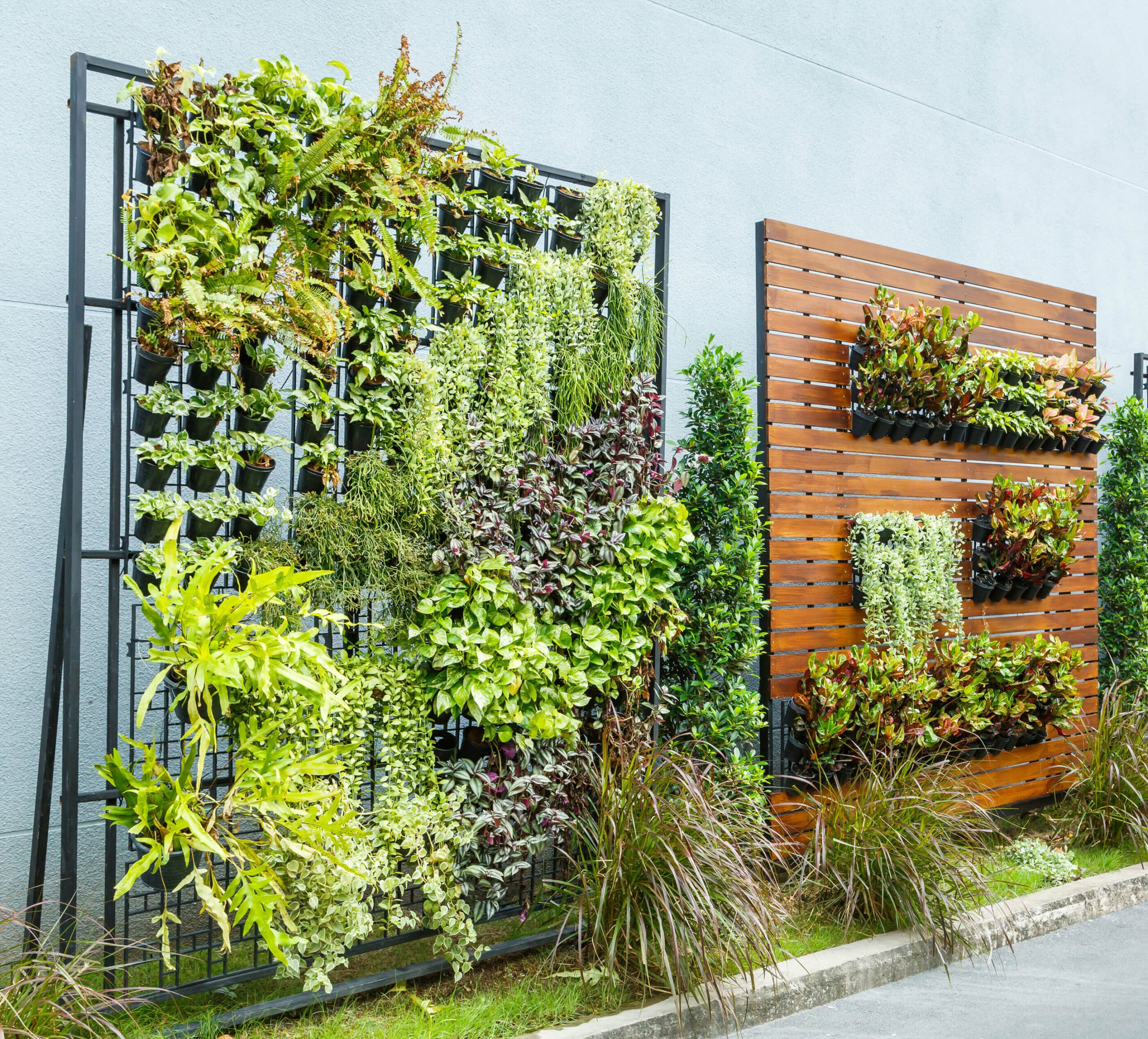 Vertical Gardening der neue Trend