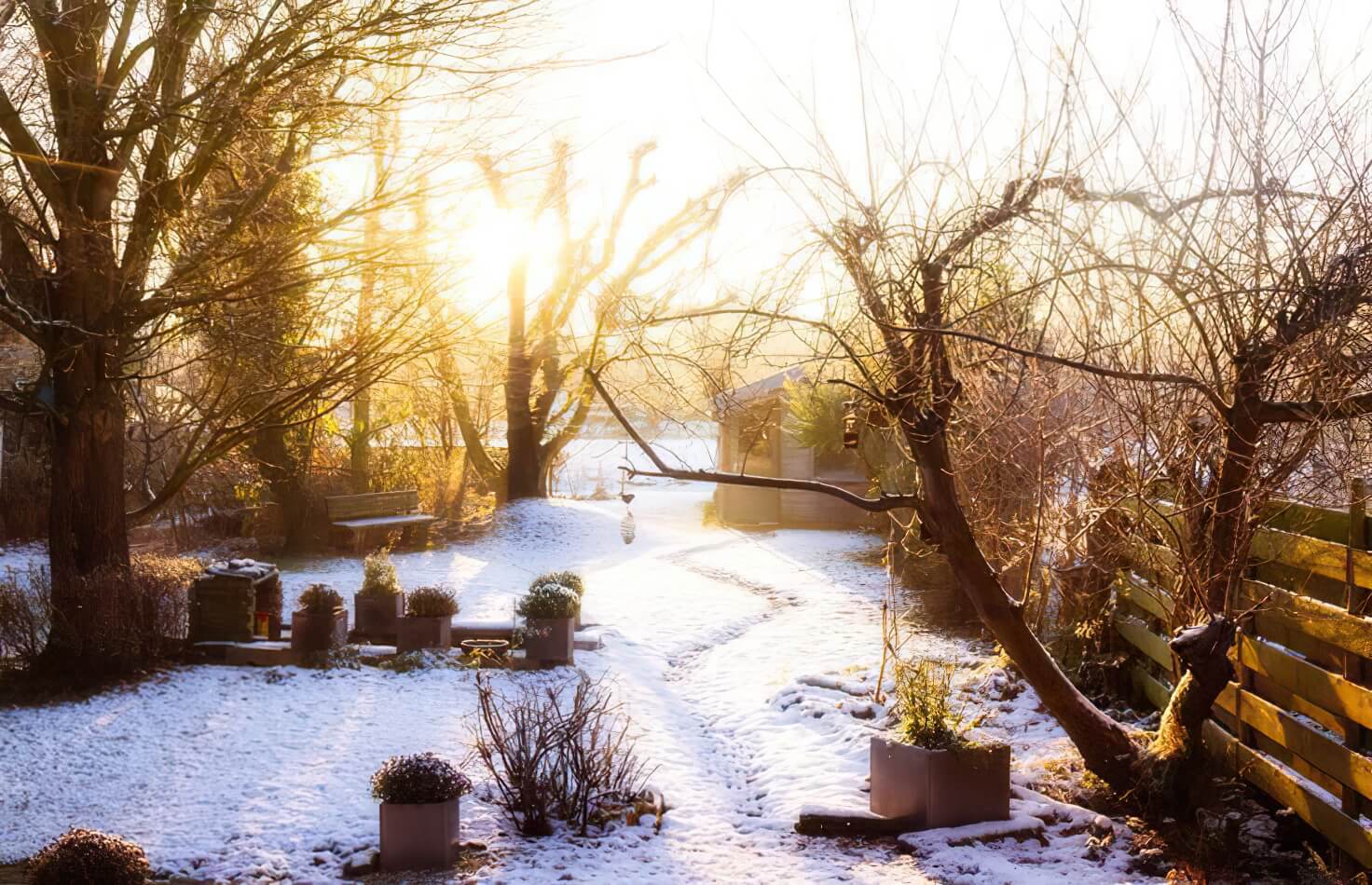 garten im winter 1 gigapixel