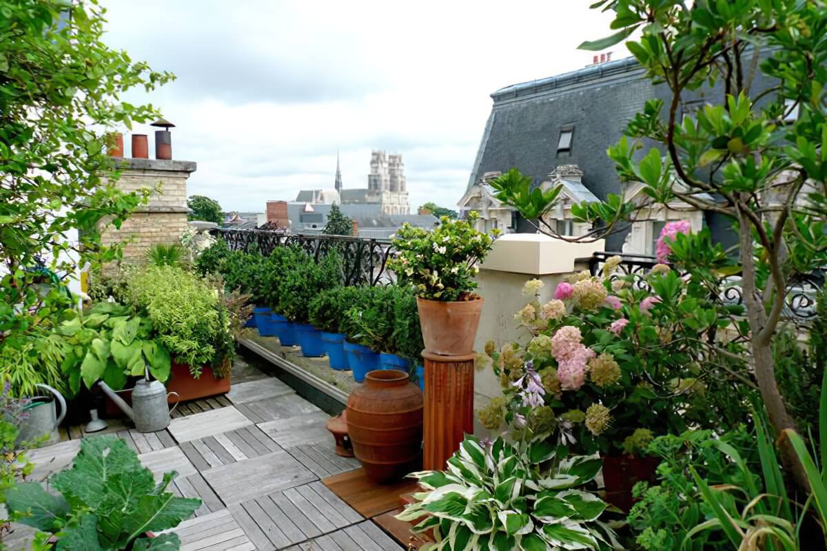 urban gardening gigapixel